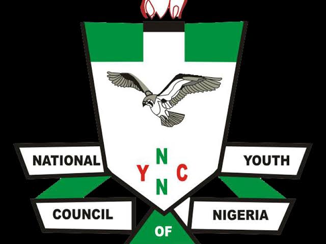 Coronavirus: NYCN Advocates For Youths In FG’s Palliatives - Image 1