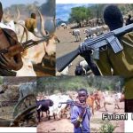 ‘Operation Delta Hawk’: Delta To Launch Security Outfit To Checkmate Herdsmen Crisis - Image 1