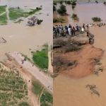 Nigerians feared as 10 died in boat mishaps, 180 houses, 752 hectares destroyed by flood [Find Out] - Image 1